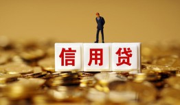 成都无抵押哪里可以民间借贷-成都无抵押私人借钱当天拿钱-成都无抵押贷款联系电话