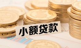 成都无抵押哪里有小额贷款-成都无抵押身份证贷款平台-成都无抵押民间短借